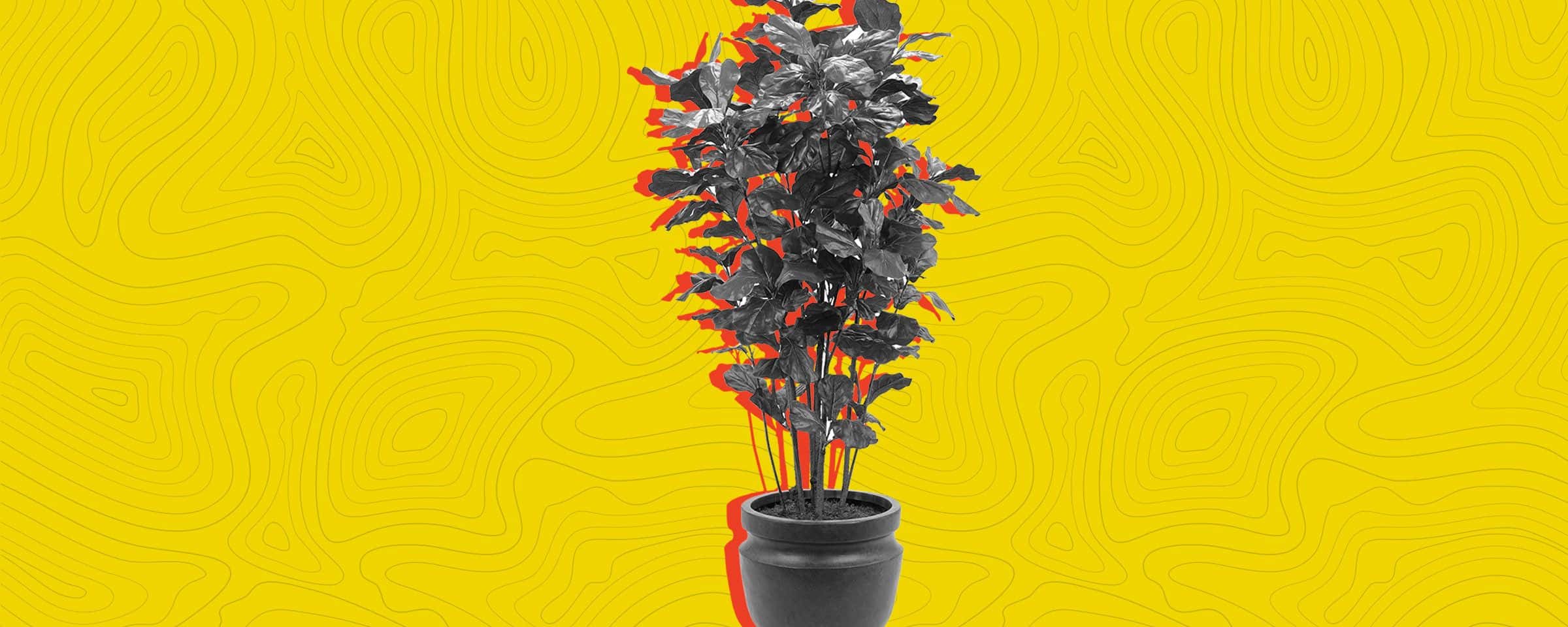 Fun and Easy Sustainable Living Tips to Save the Planet