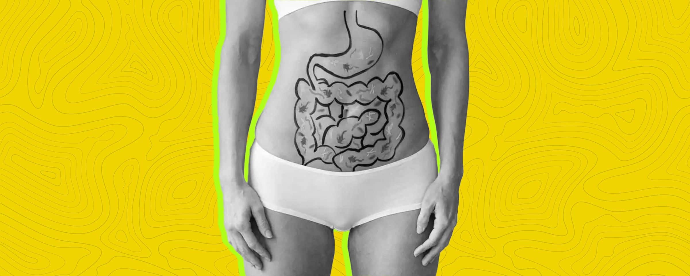 Understanding Gut Health and Wellness Impact