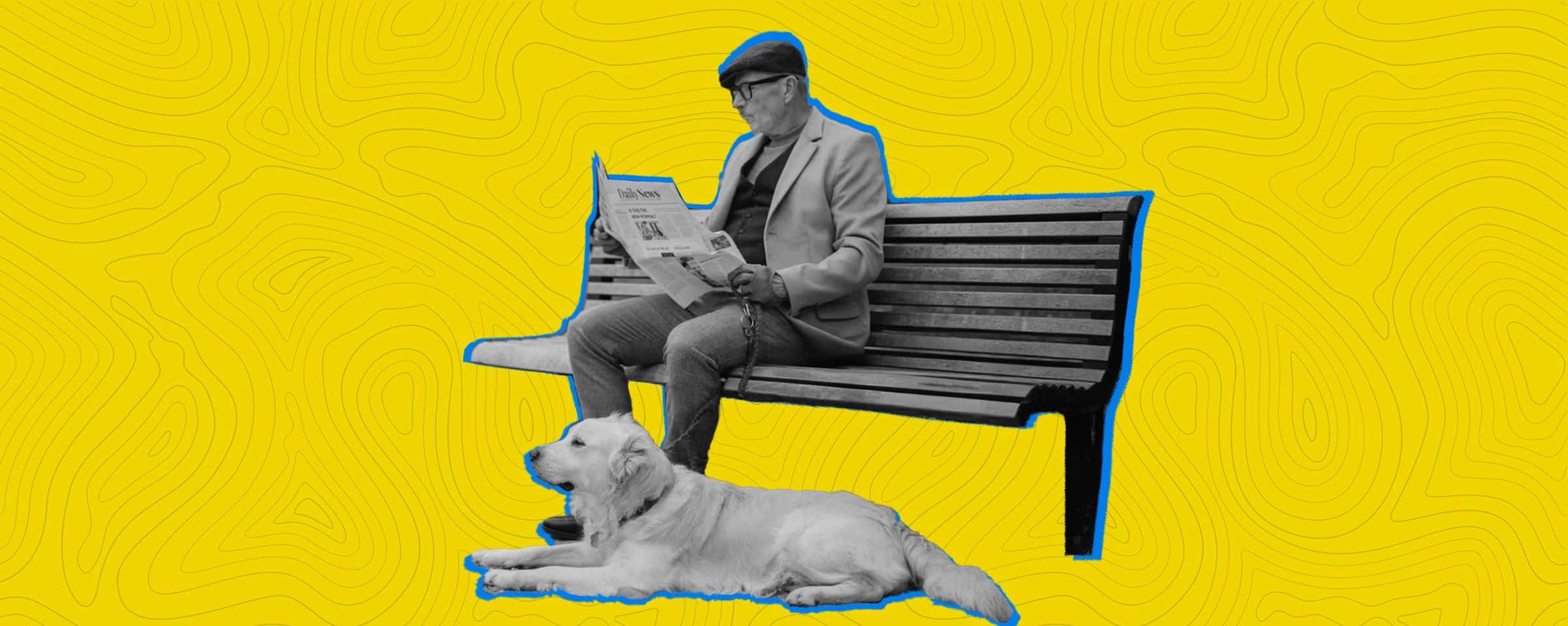 Why Should You Get a Pet? The Benefits of Having Pets at Home