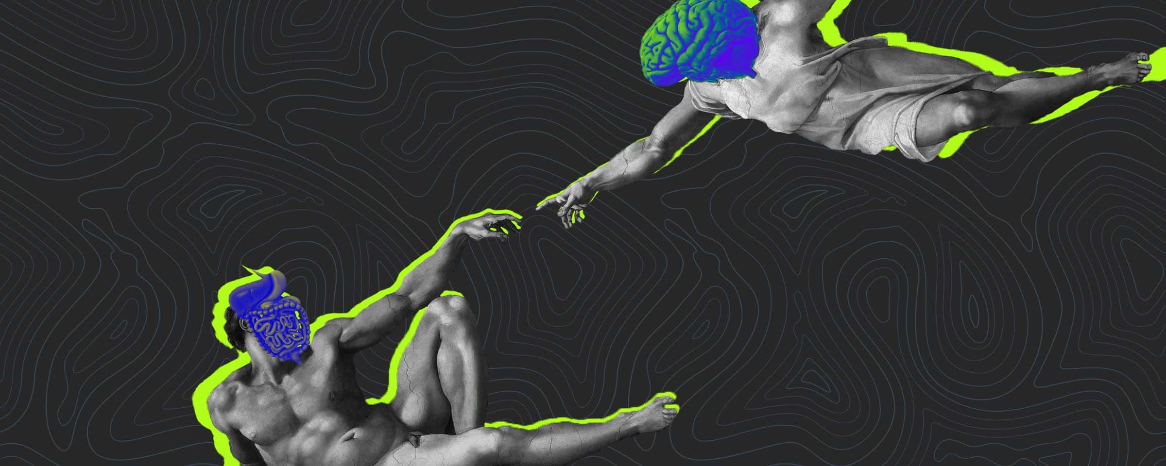 The Unlikely Love Story: The Brain and the Gut