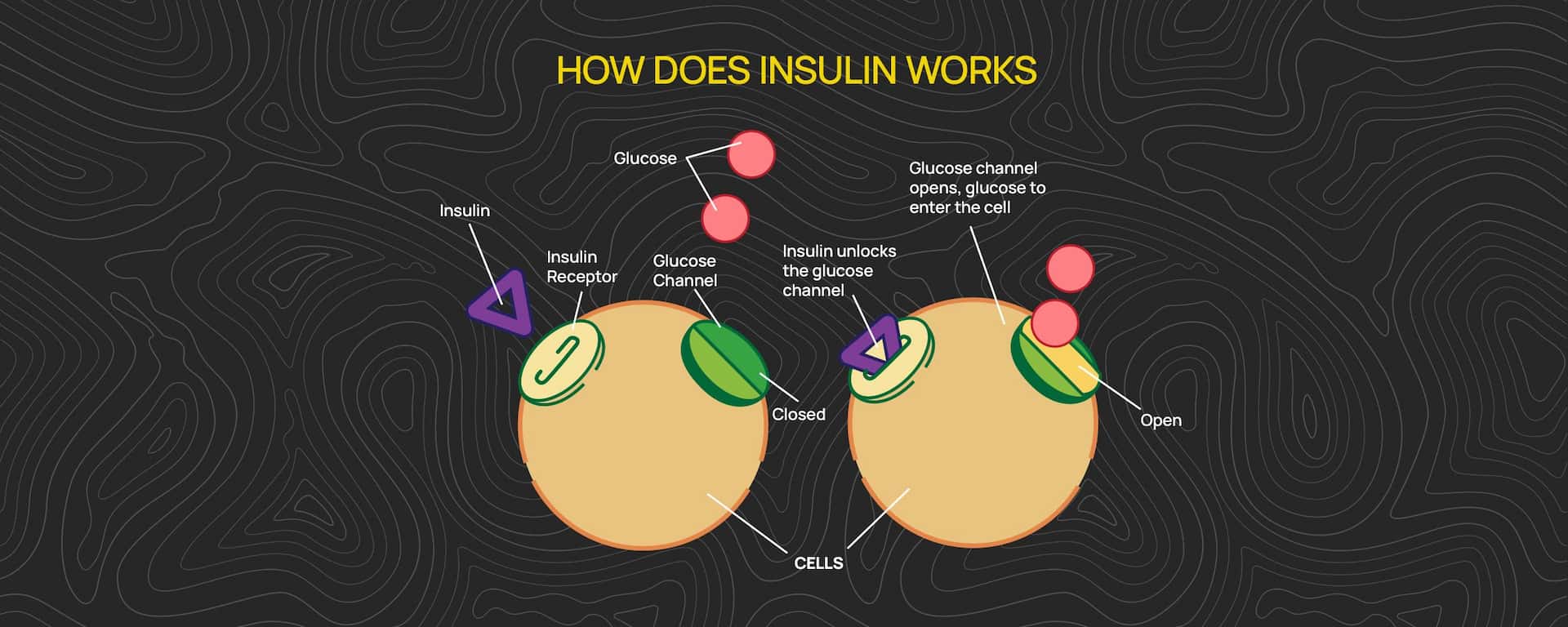 Understanding Lifestyle Diseases