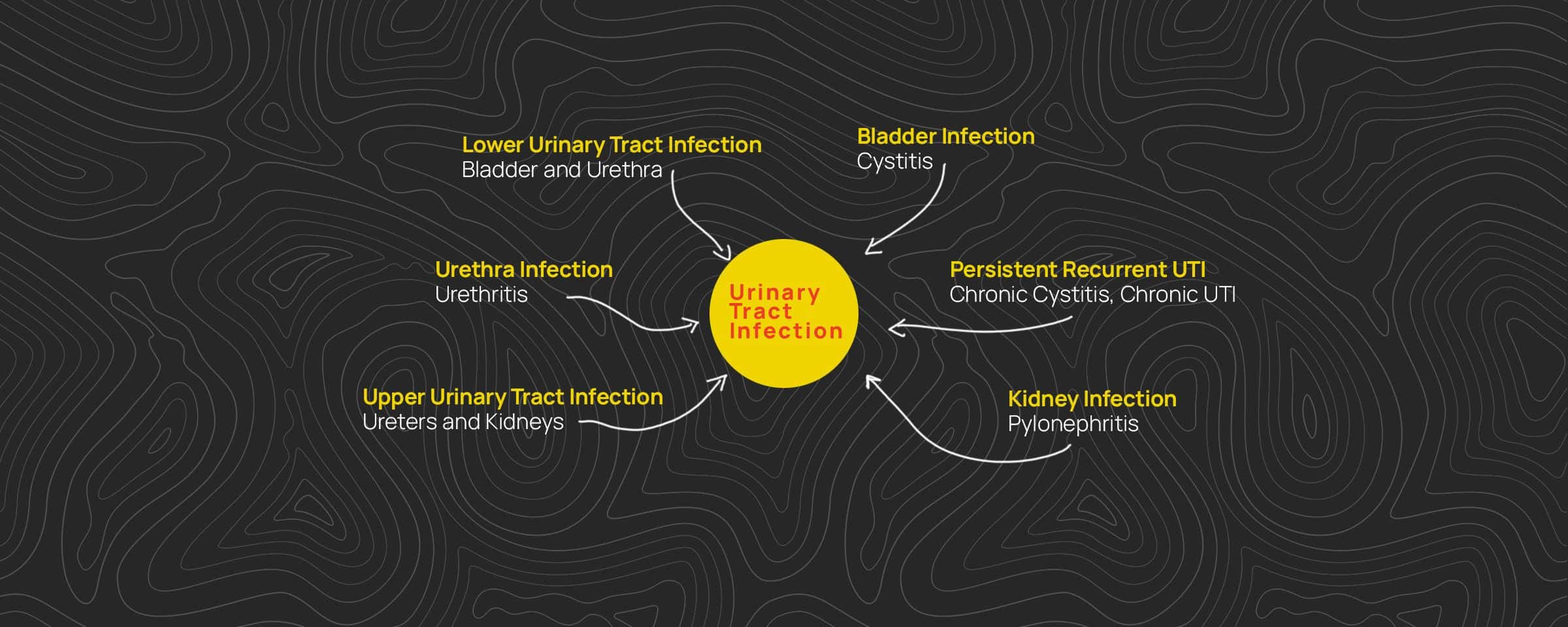 Understanding UTIs 