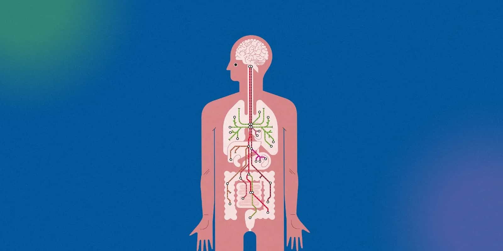 The Mind-Body Connection  