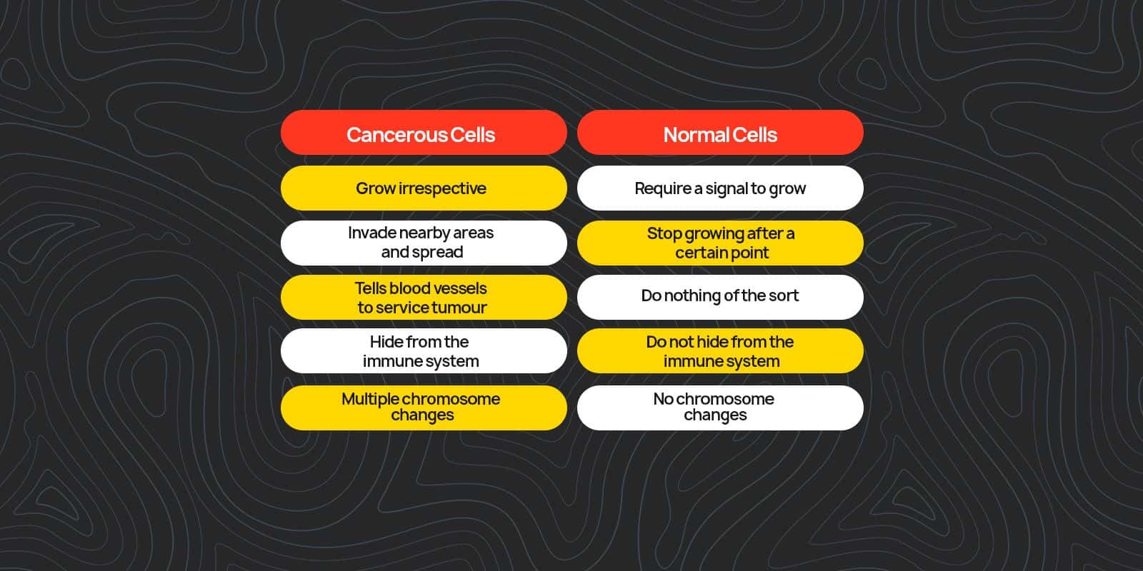 How Does Cancer Occur? 
