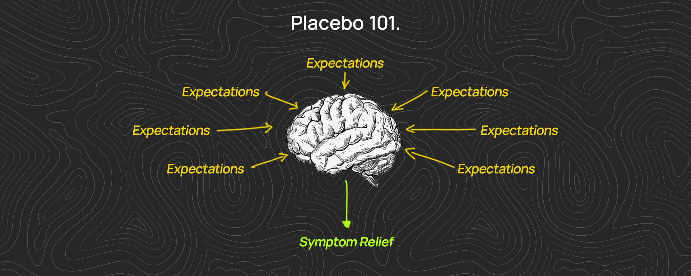 Why The Misconception Persists