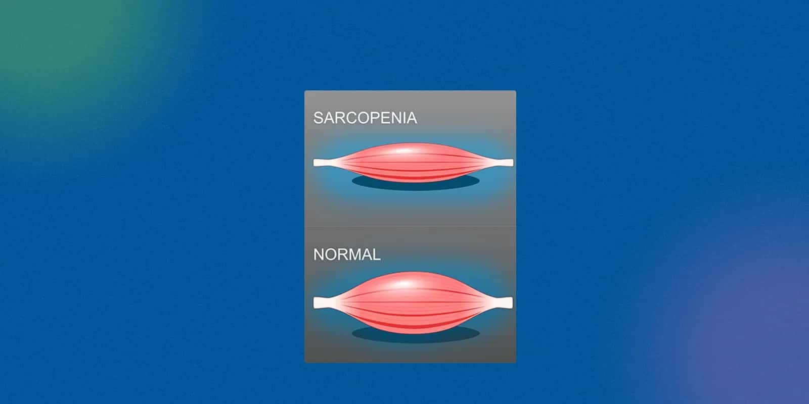 Benefits of Grip Strength in Everyday Life