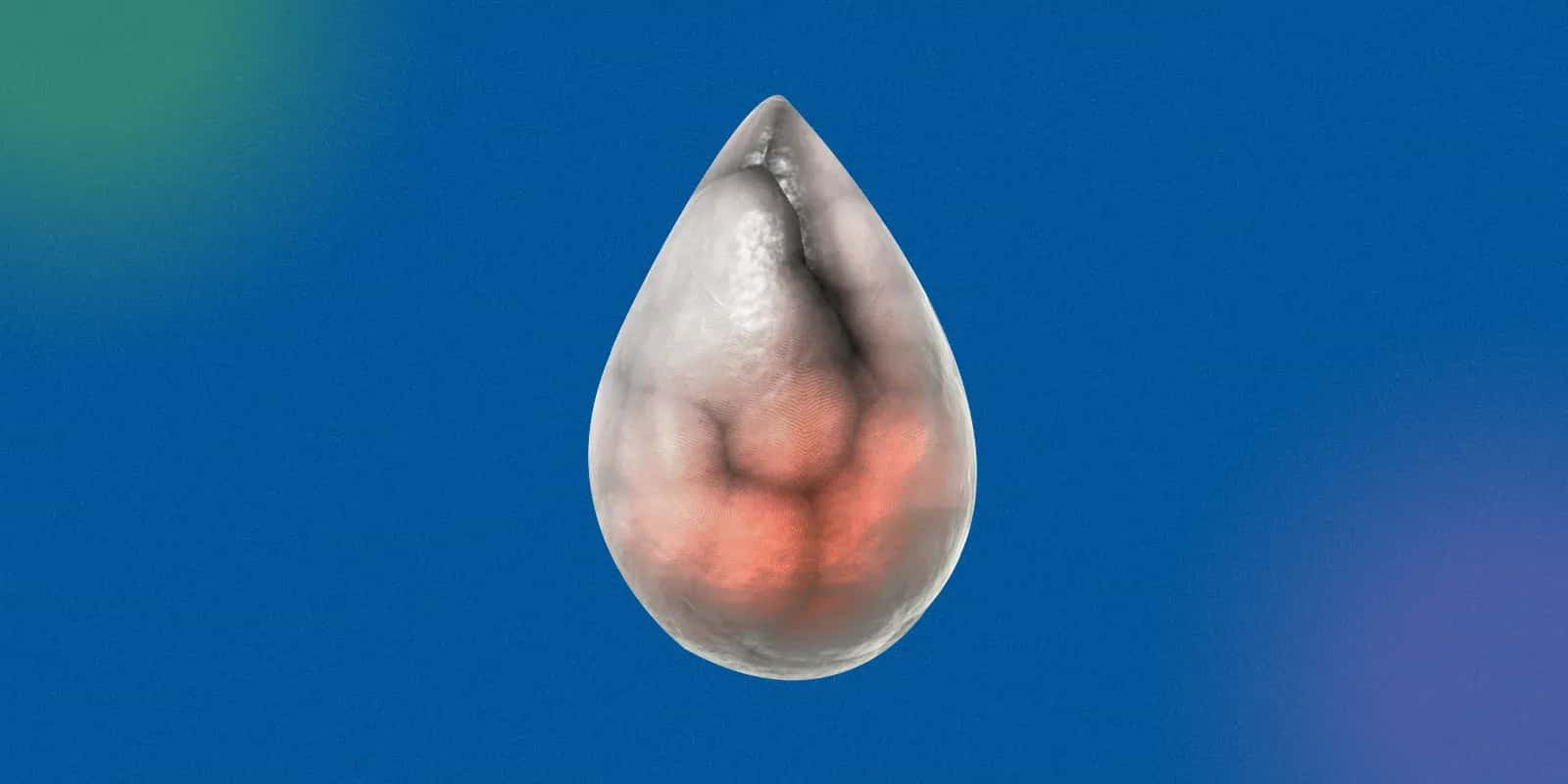 What Are the Signs and Symptoms of Testicular Cancer?