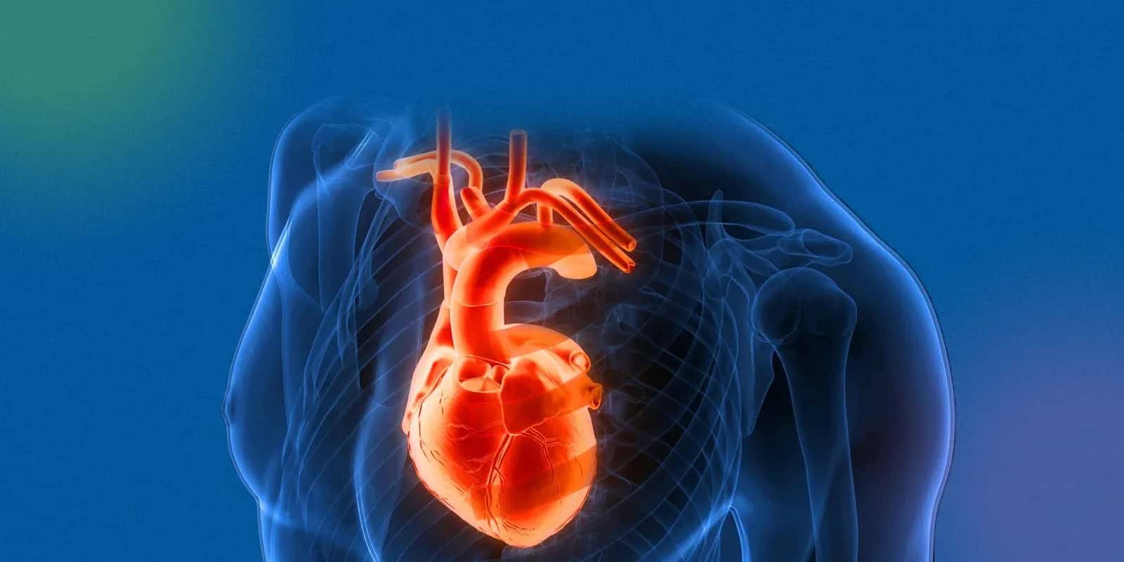 What Causes Hypothyroidism? 