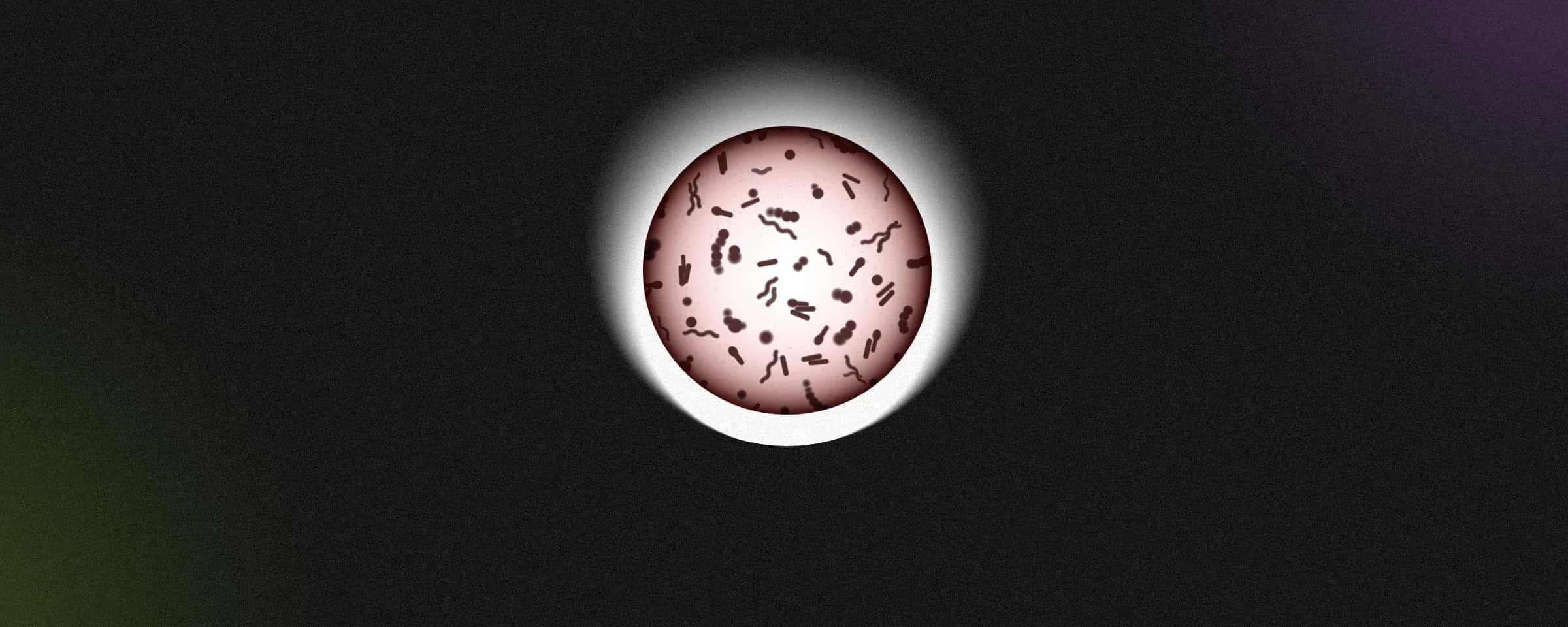 All You Need to Know About How Contagion Shapes the World