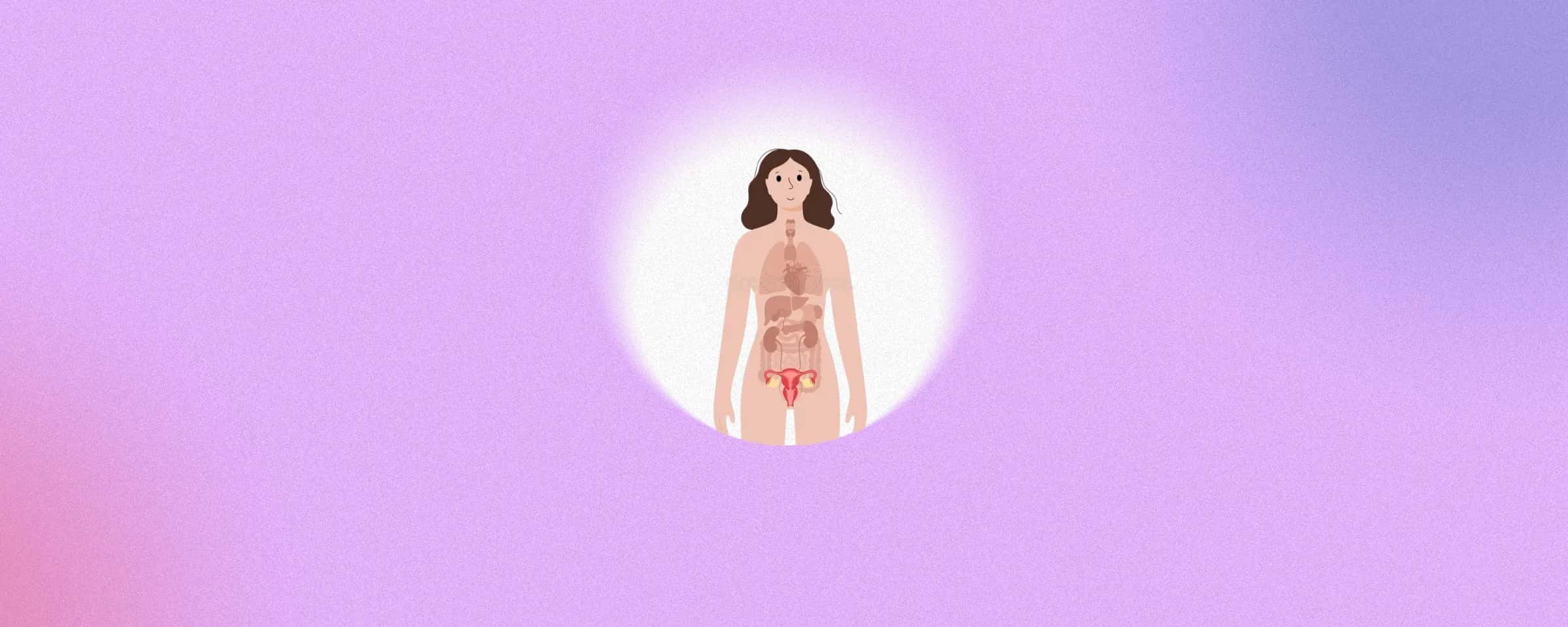 PCOM or Polycystic Ovarian Morphology