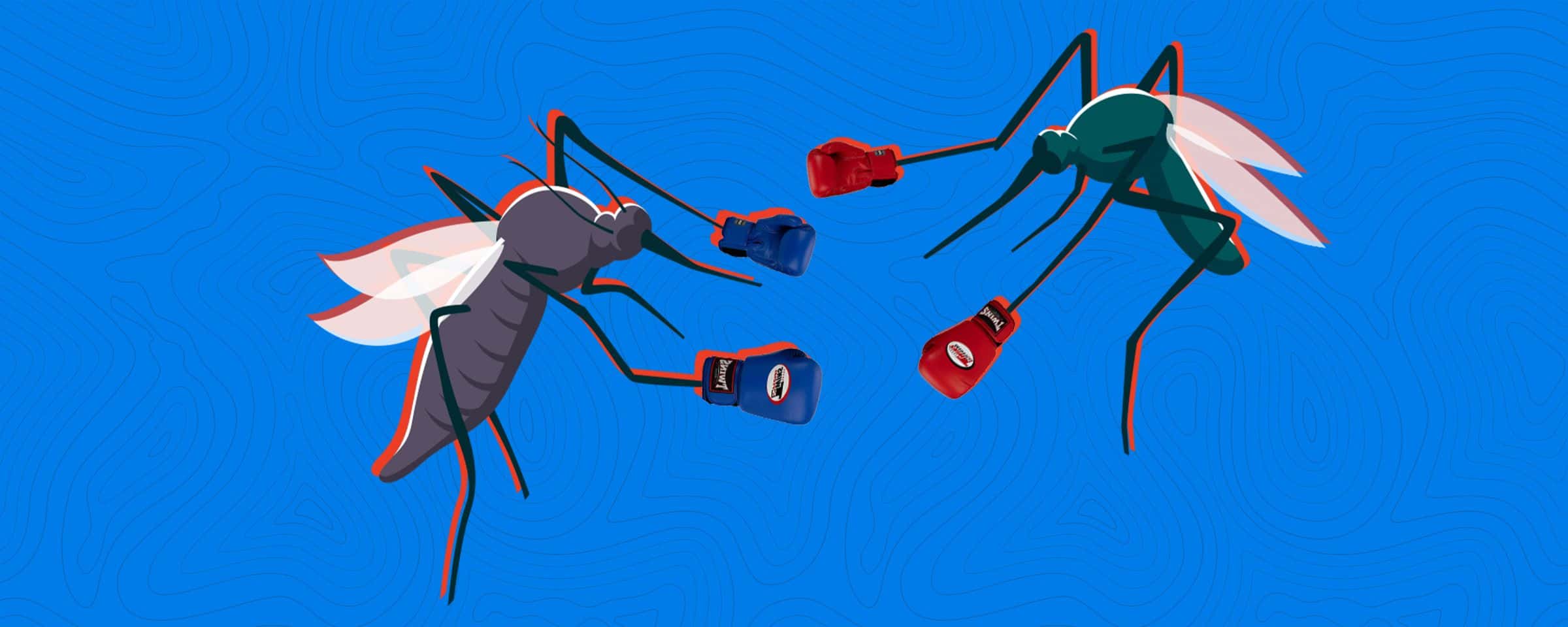 Dengue vs. Zika: Key Differences and Prevention Tips
