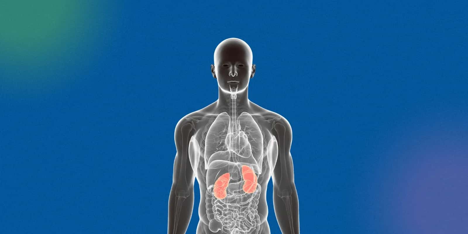 Black Coffee and Liver Health: A Deep Dive