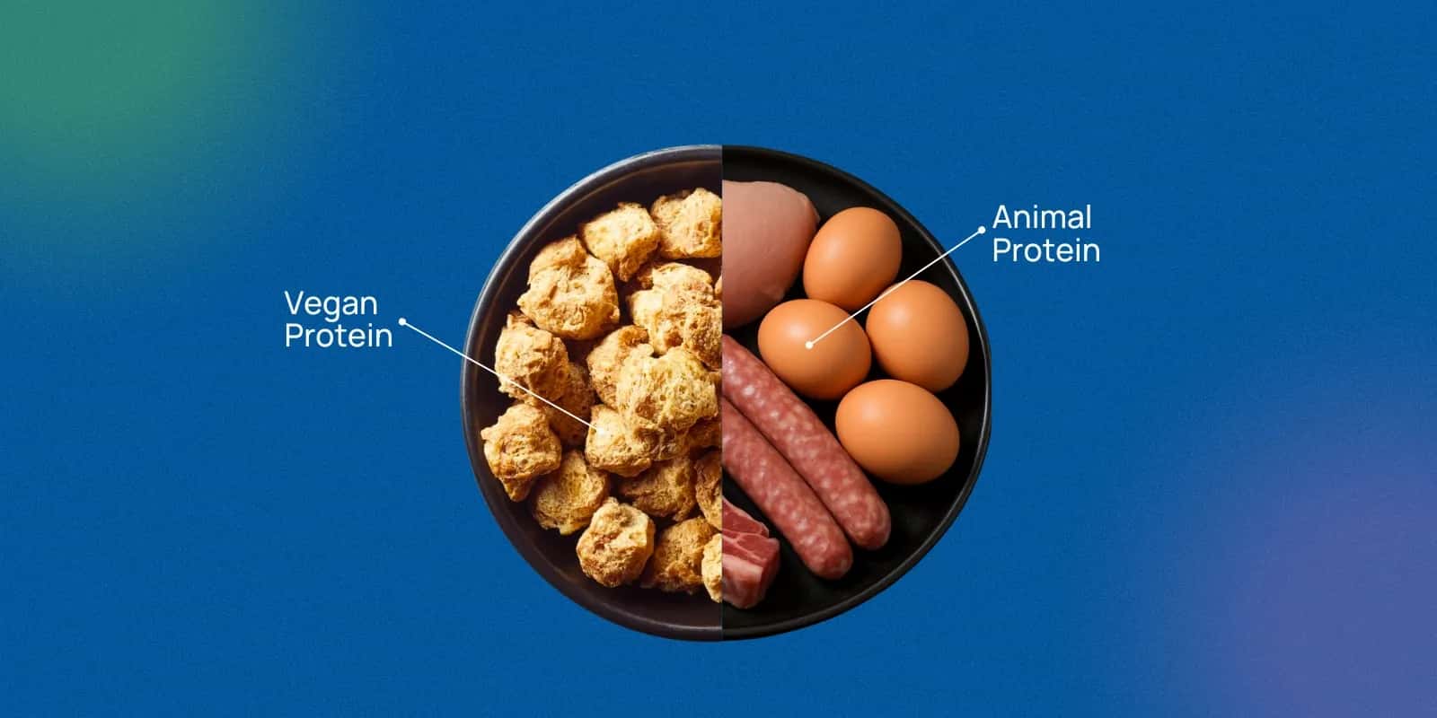 Common Myths About Vegan Sources of Protein