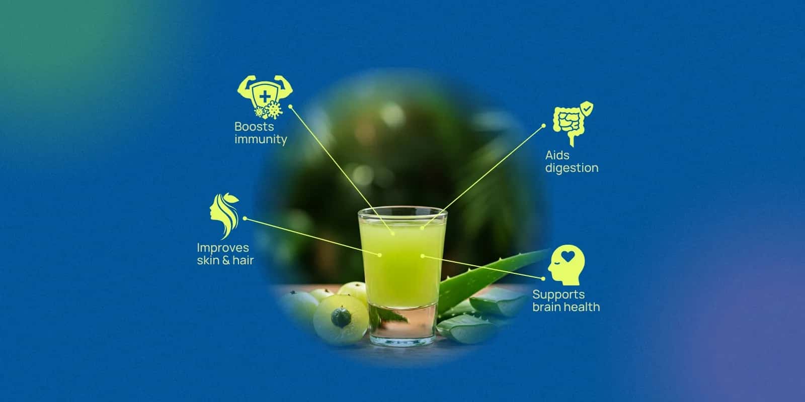 How to Consume Aloe Vera and Amla Juice for Maximum Benefits
