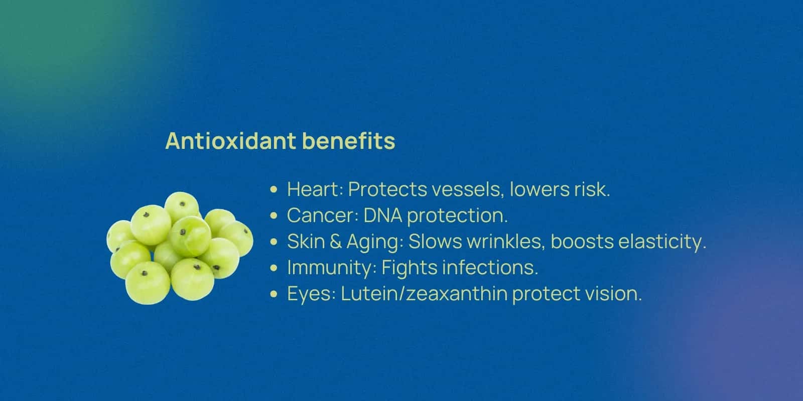 Top Antioxidant-Rich Foods in India: From Fruits to Superfoods