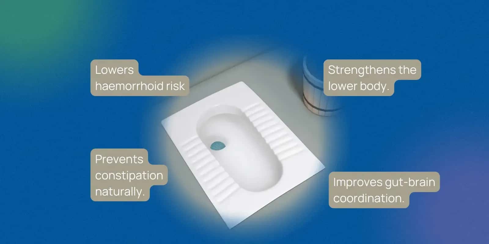 Western Toilet Sitting Position: Pros and Cons for Your Health