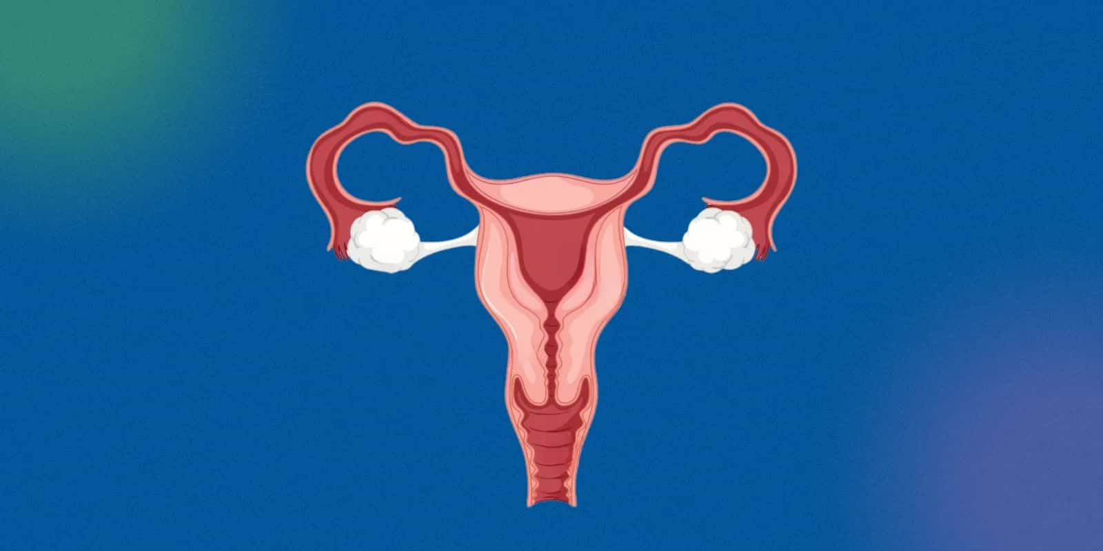 How Cervical Length Is Measured: Techniques and Best Practices