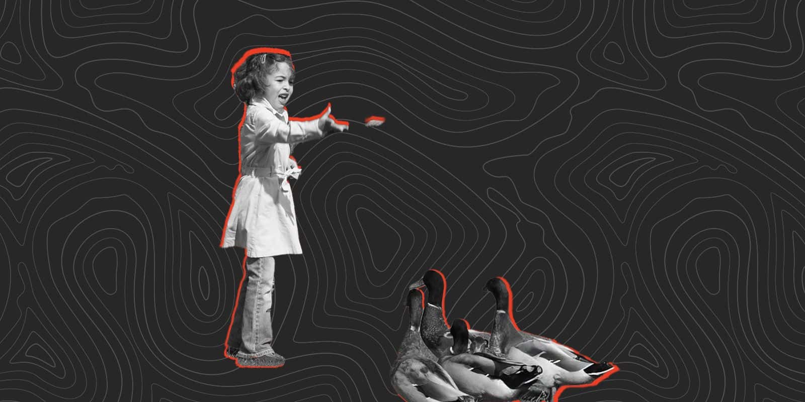 Things to keep in mind before you go for it