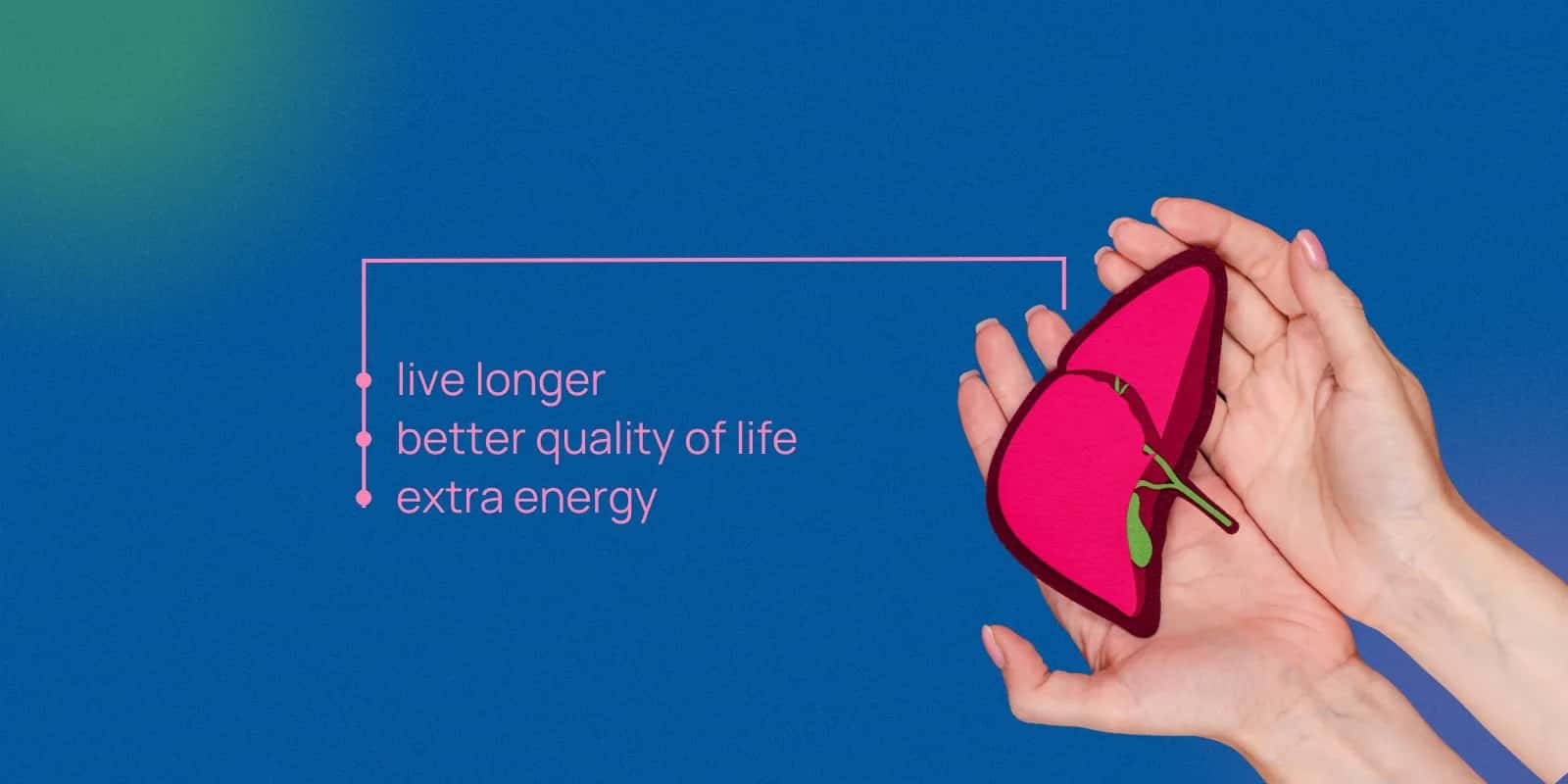 Liver Transplant Donor Criteria: Who Can Donate a Liver?