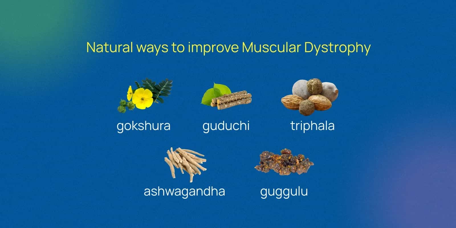 Muscular Legs in Women: Strength vs. Muscle Loss in Health Conditions