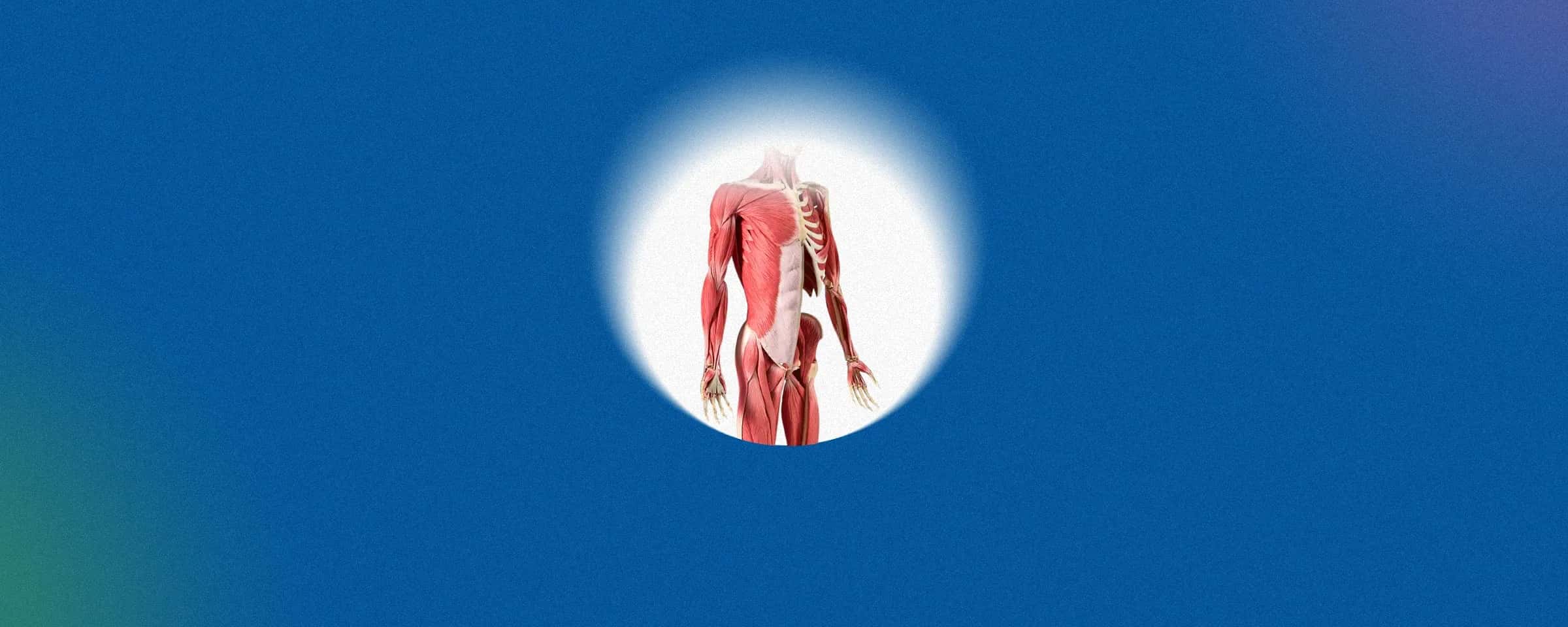 Nutrition and Healthy Eating: Why Bone Health Supplements Matter