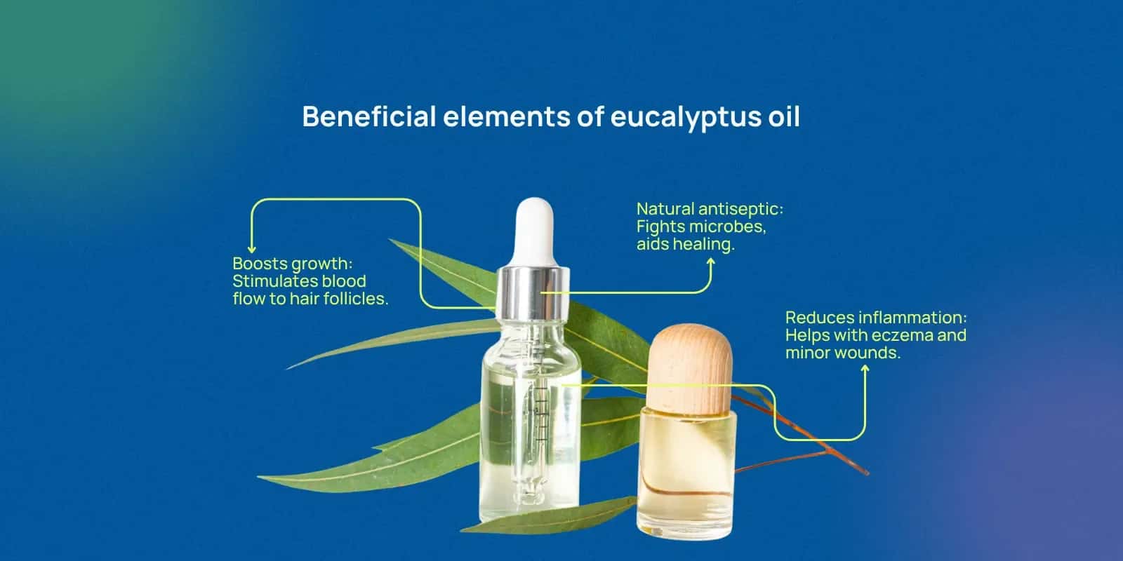 Types of Eucalyptus Oil and Their Uses