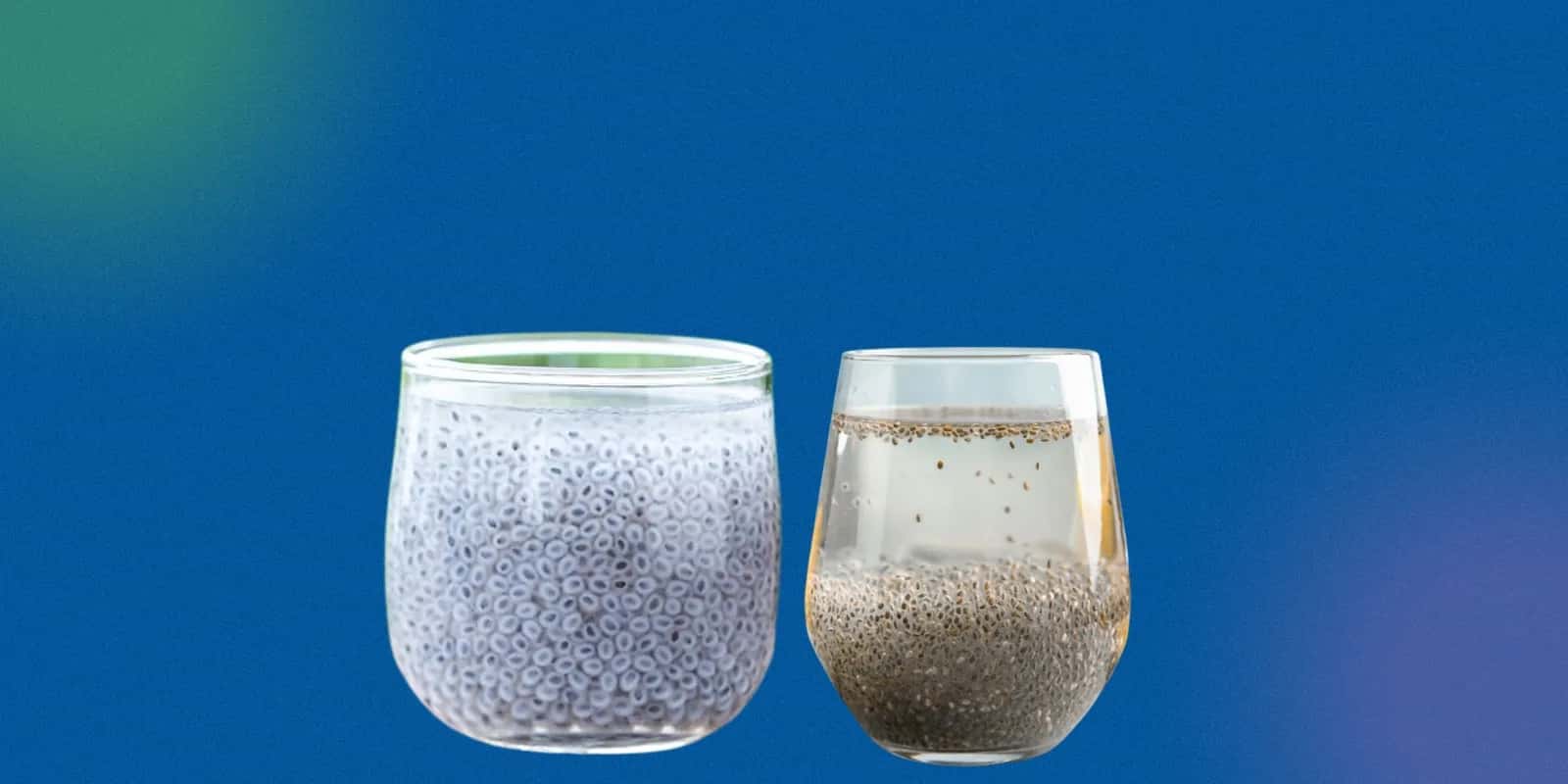 Differences in Appearance and Texture