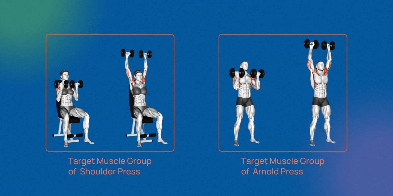 How to Do Shoulder Press