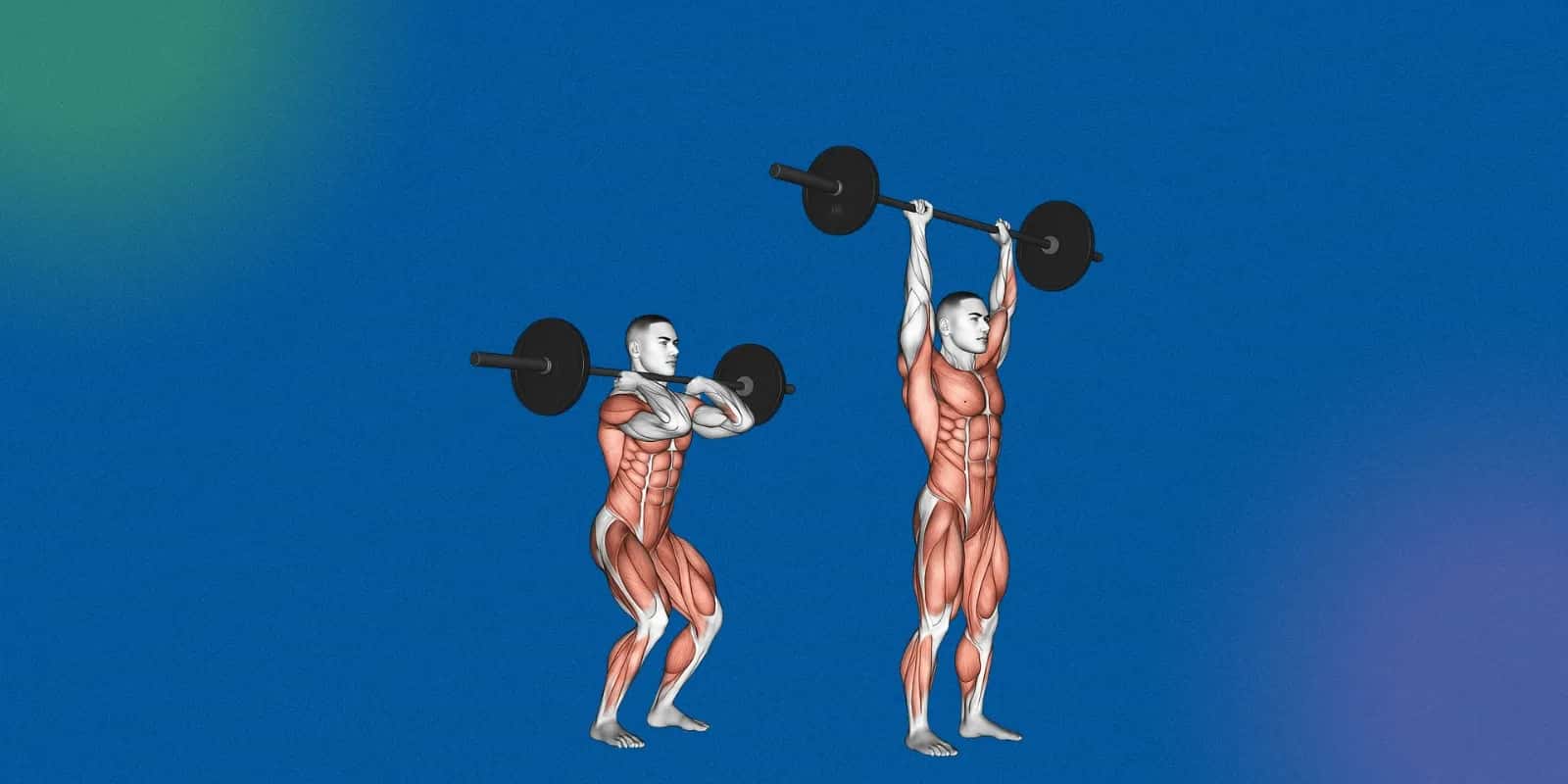 Essential Strength Training Exercises for Beginners