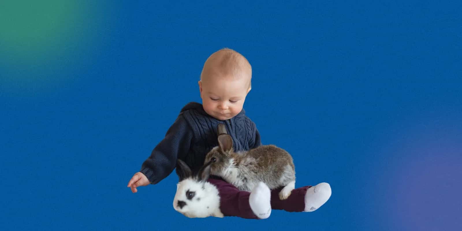 Building Toddler Social Skills to Promote Gentle Interactions