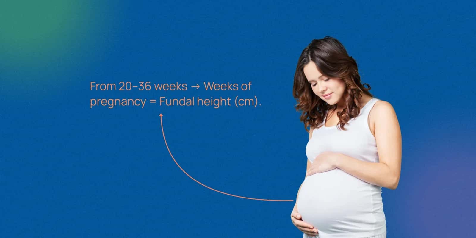 Fundal Height by Week Chart: Normal Ranges and What to Expect