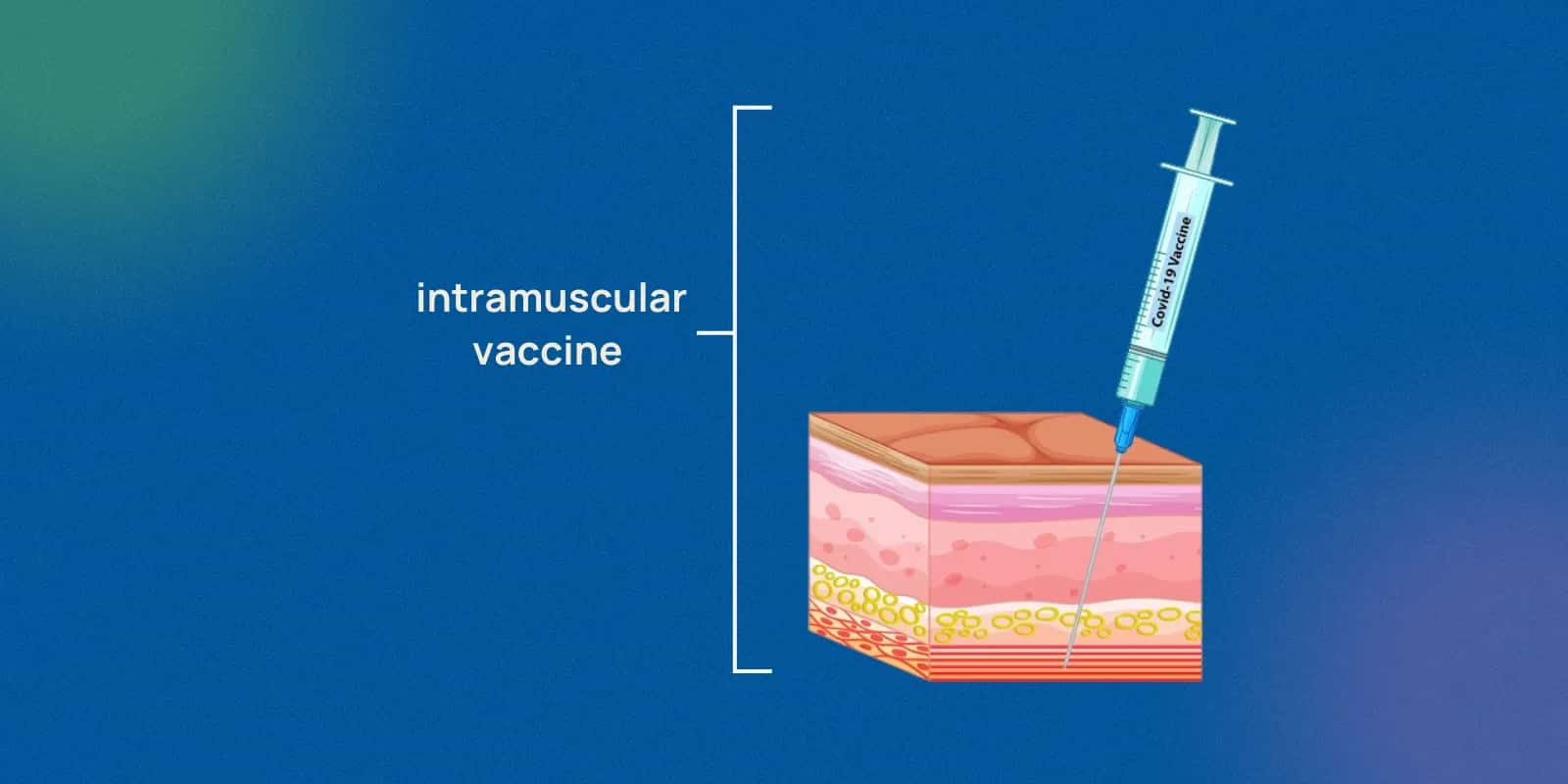 Types of Rabies Vaccines Used in India: Abhayrab, Rabipur, Rabivax S
