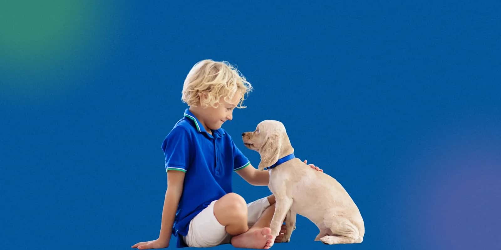 Preventive Measures and First Aid After Dog Bites Before Vaccination