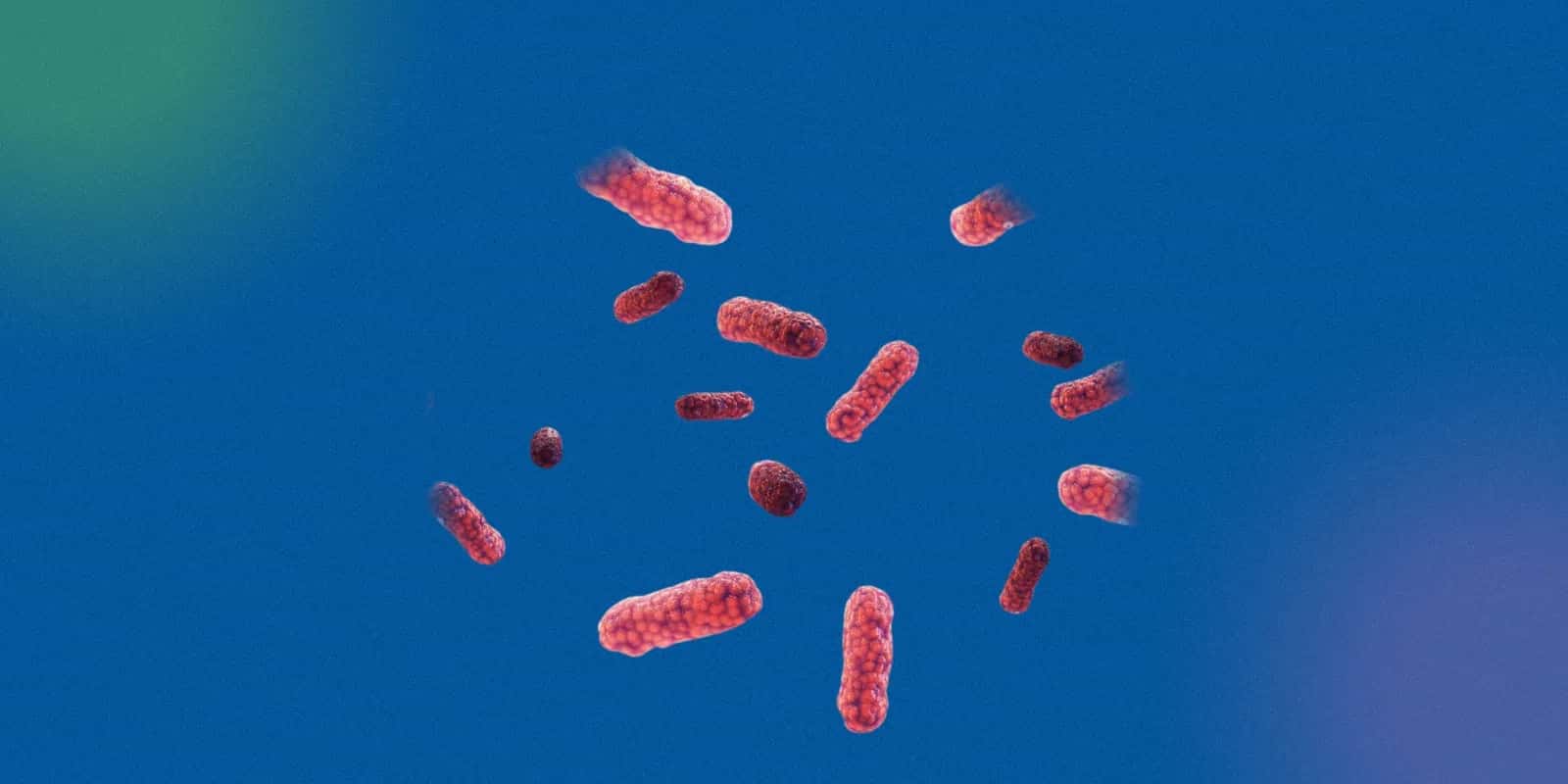 Typhoid Vaccine: Types, Availability, and Cost