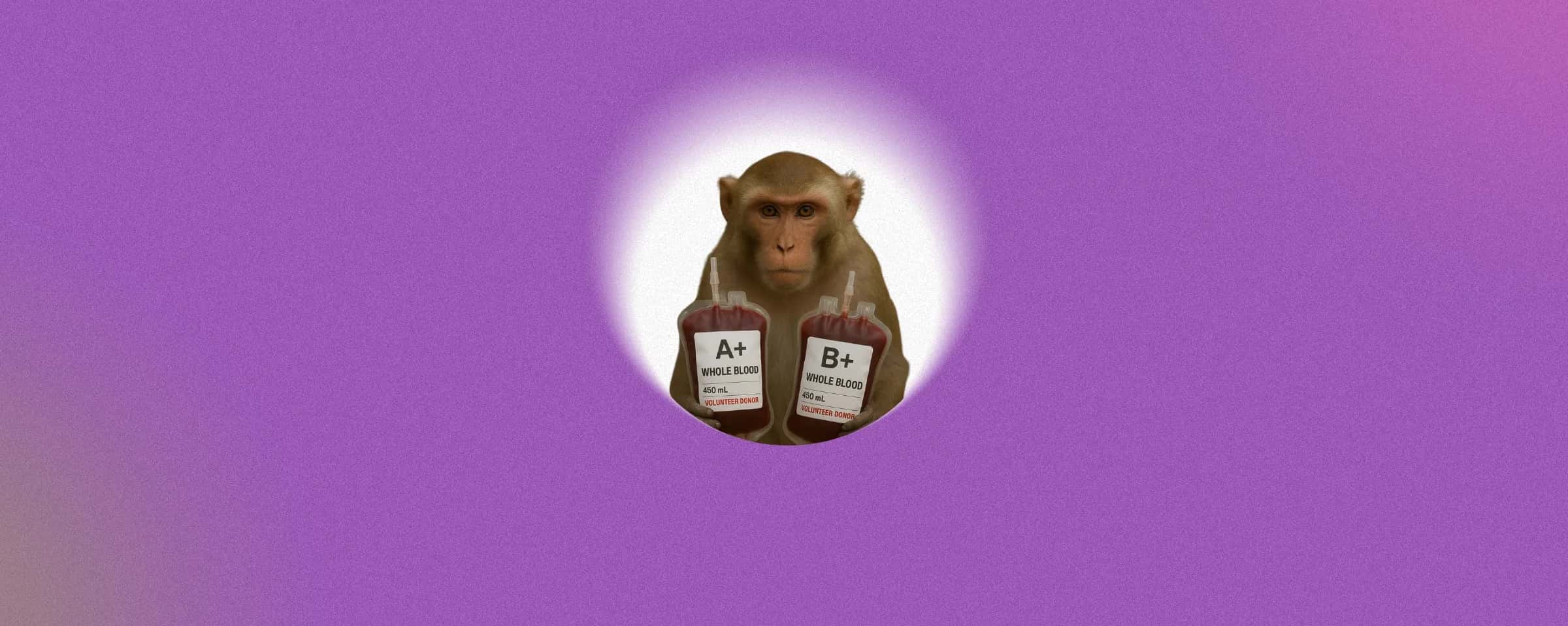 Universal Blood Donor and Recipient: Myths vs. Facts