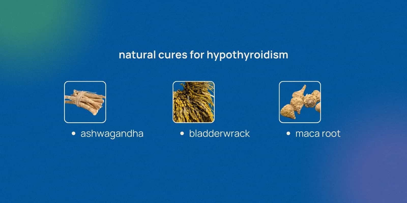 Understanding Thyroid Disease Beyond Hypothyroidism