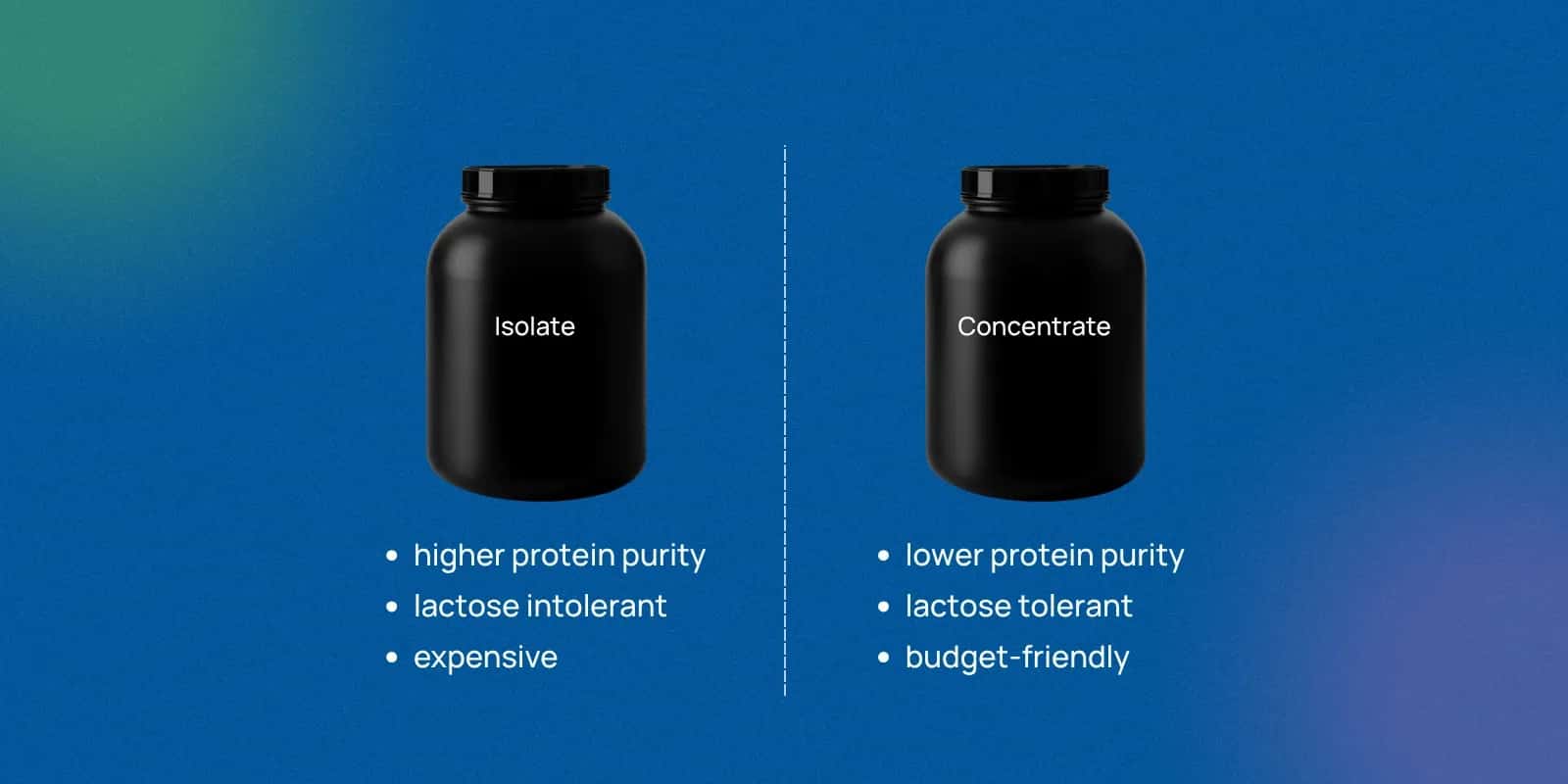 What is Whey Protein Concentrate?