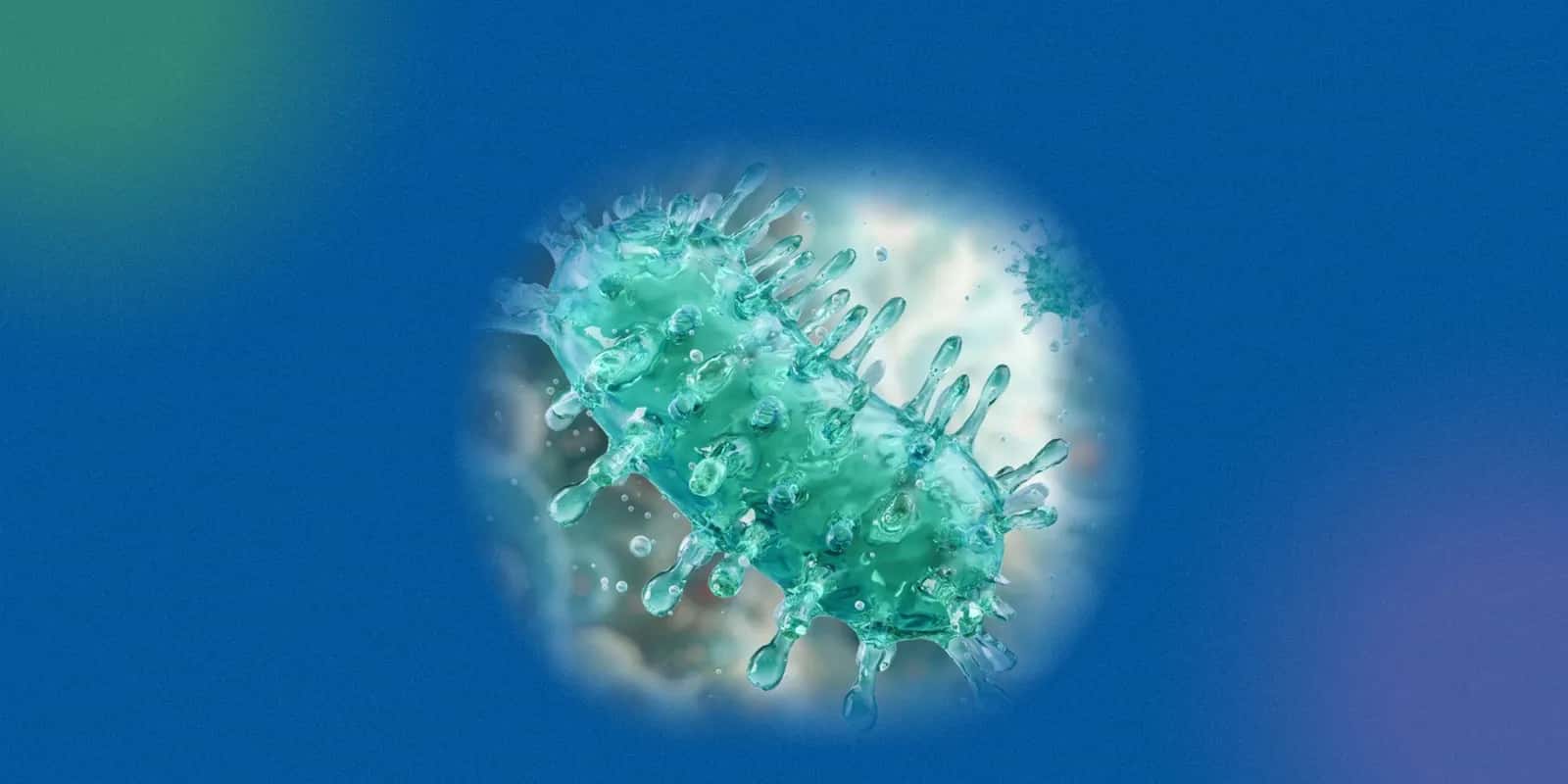 What If Your Pet Dog Scratches You?